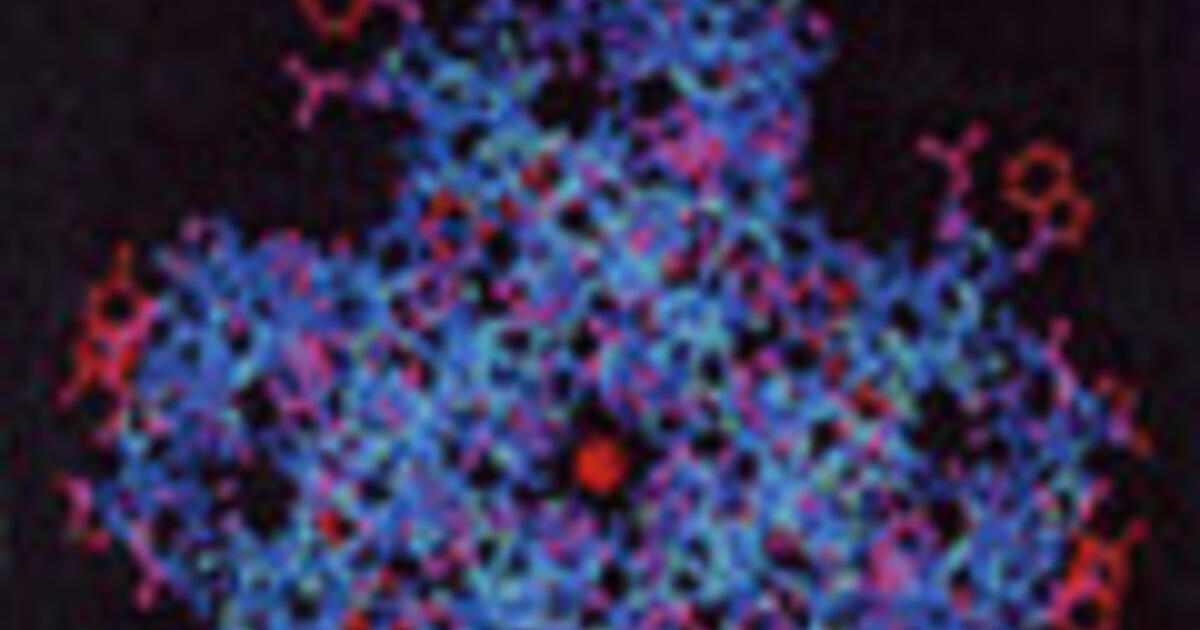 Integration of Environmental, Agronomic, and Economic Aspects of