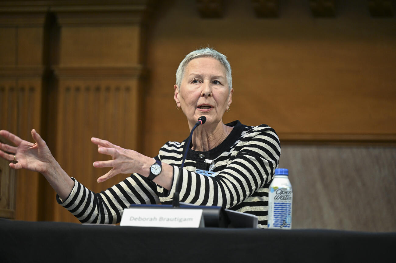 Deborah Brautigam speaks during a panel session.