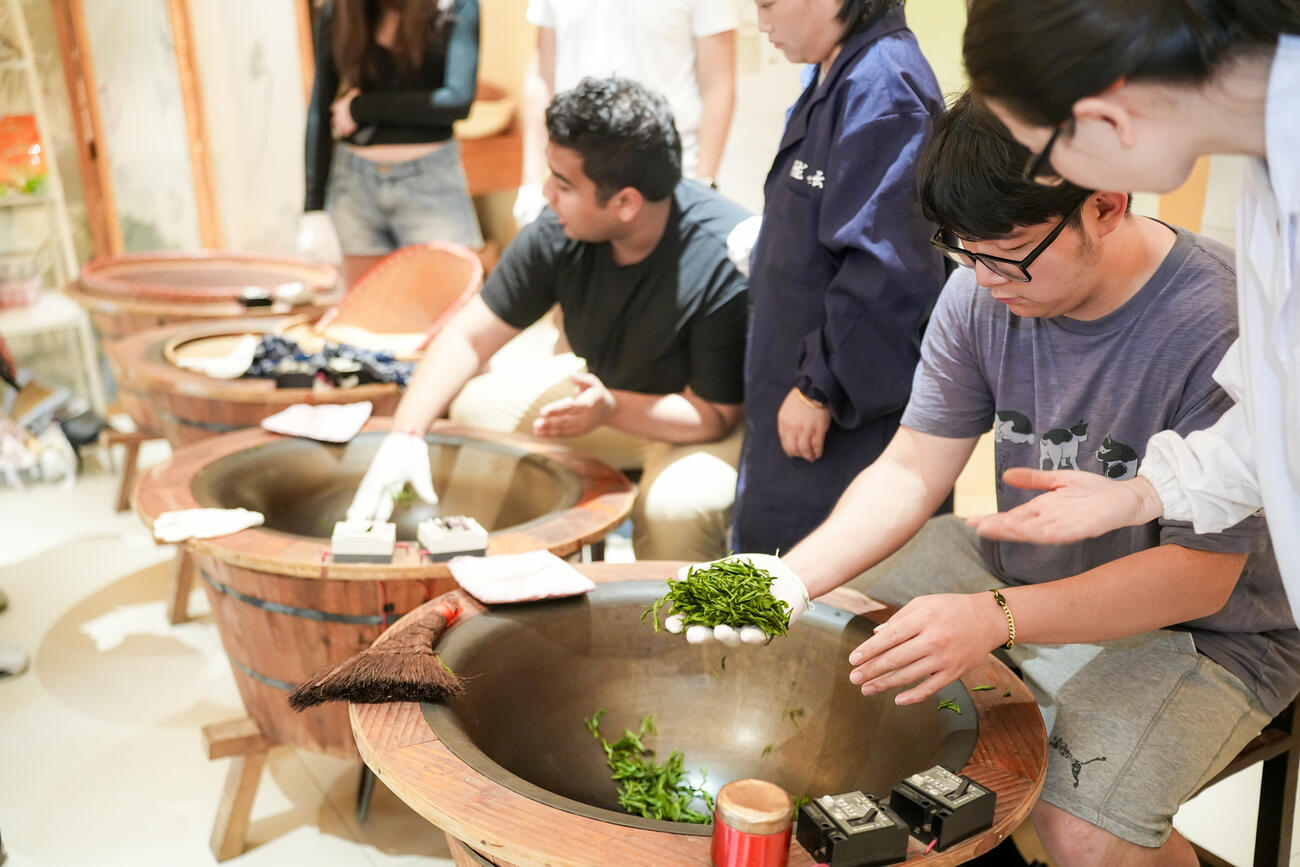 Students hold green tea leaves.