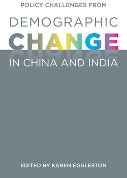 Abstract cover image for book Policy Challenges from Demographic Change in China and India