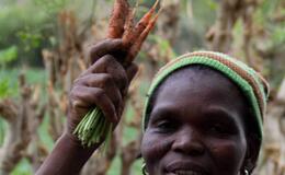 carrots celebration logo