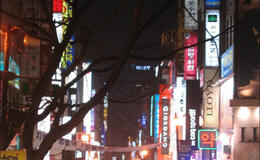seoul flickr xeno sapien logo