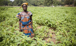 women field africa