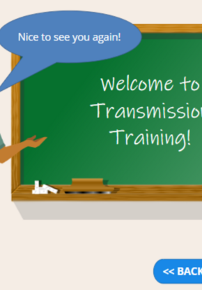 Screenshot from transmission constraints elearning module