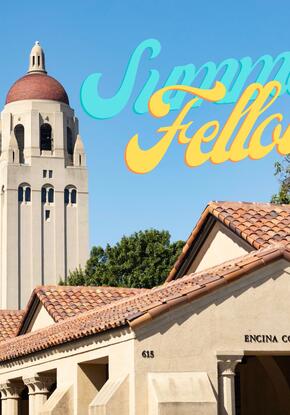 Undergraduate Summer Fellows 2025