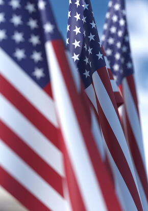 American Flags