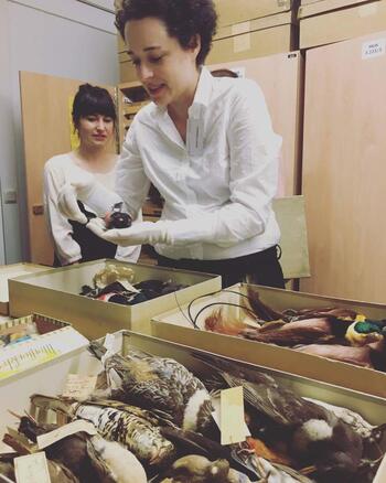 Featured Graduate Student Research Anna Toledano FSI