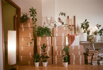 A room filled with lots of boxes and plants