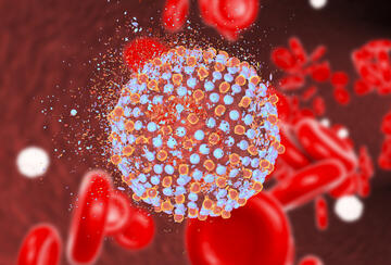 An illustration of Hepatitis C