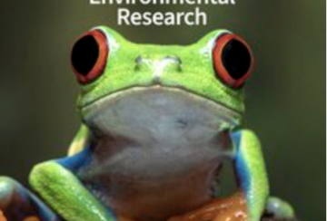 Year in Review cover photo of frog