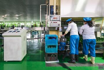 Two women working at a bottling plant in Kangso, P'yongan-namdo, North Korea