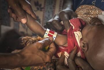gettyimages stunting