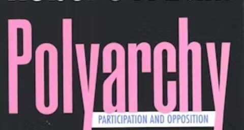 Polyarchy book cover