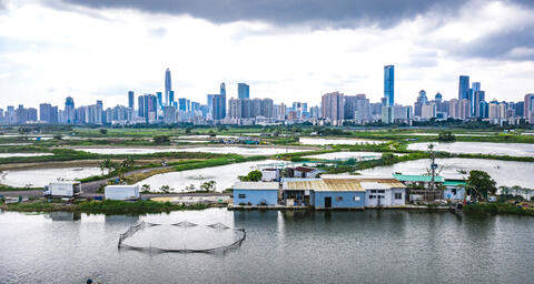 Landscape and skyline of Shenzhen,, China