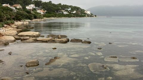 Margaret Poulos TEC GSGC