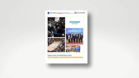 Cover of the report on the 2025 Sustainable Democracy Roundtable.