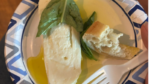 mozzarella and bread
