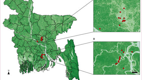 Figure. Study site locations in Bangladesh. Study sites at Dhaka (A) and Barisal (B) are shown in red.