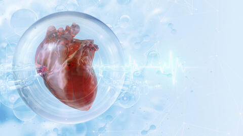 Illustration of a heart (wide)