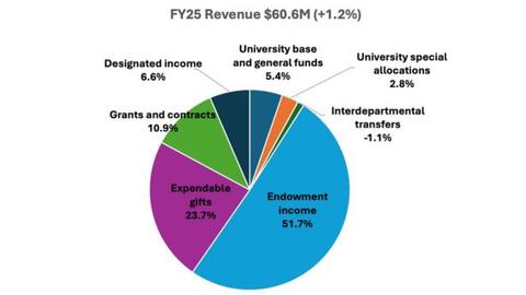 FSI revenue chart