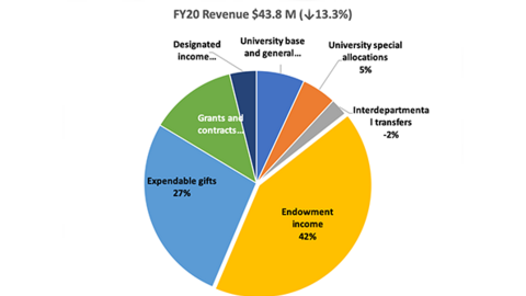 Pie CHart Showing FY20 Revenue for FSI