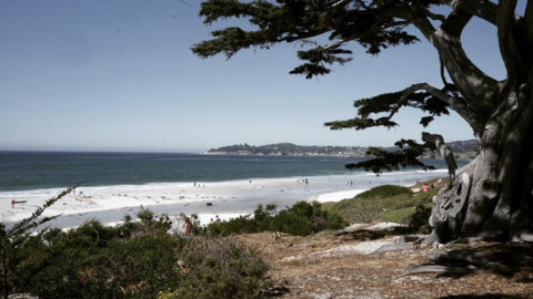 screen shot 2017 12 06 at 4 37 14 pm