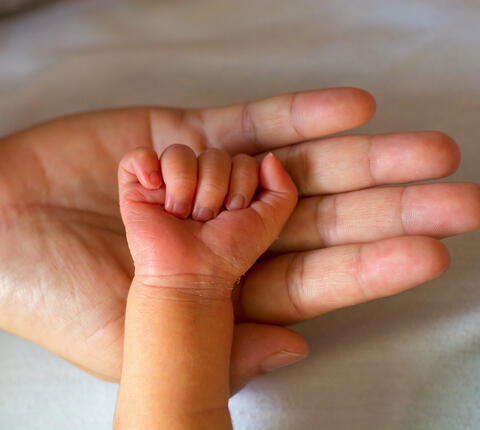 Photo of a mother holding baby's hand