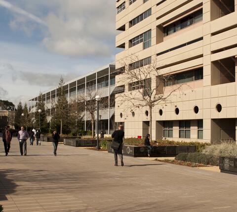 Stanford School of Medicine