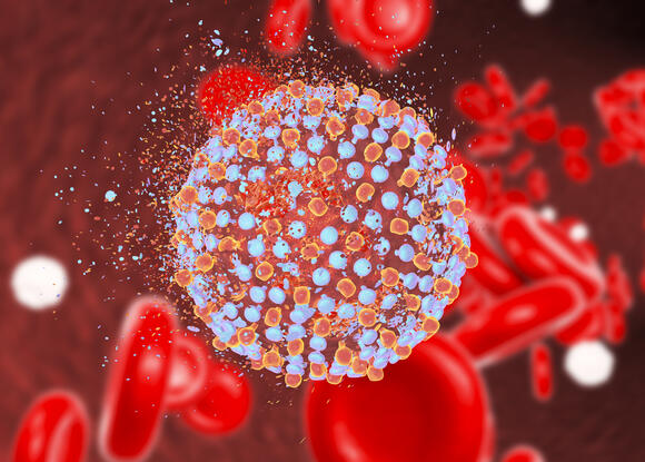 An illustration of Hepatitis C