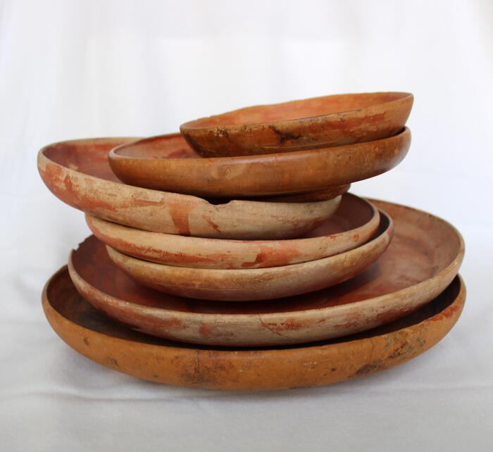 Nicole Constantine TEC GSGC 