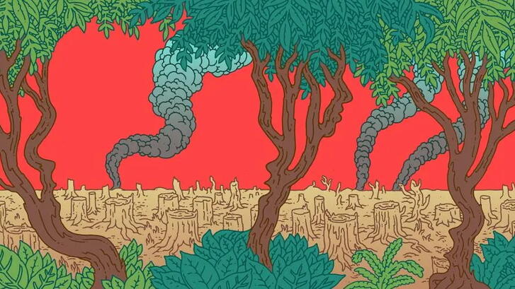 Illustration of charcoal kilns in Brazil 