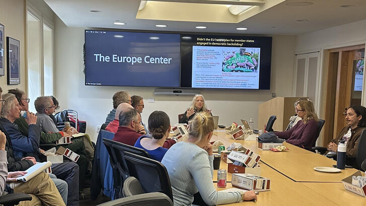 Kim Lane Sheppele presented her research in a REDS Seminar co-hosted by CDDRL and TEC on November 19, 2025.