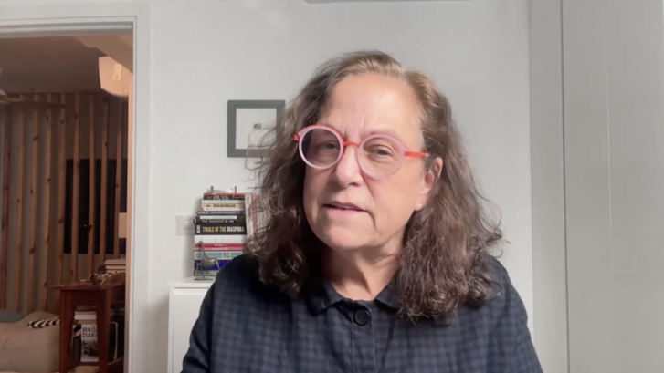 Vivian Bercovi webinar screenshot