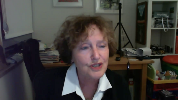 Photo of Karnit Flug in webinar