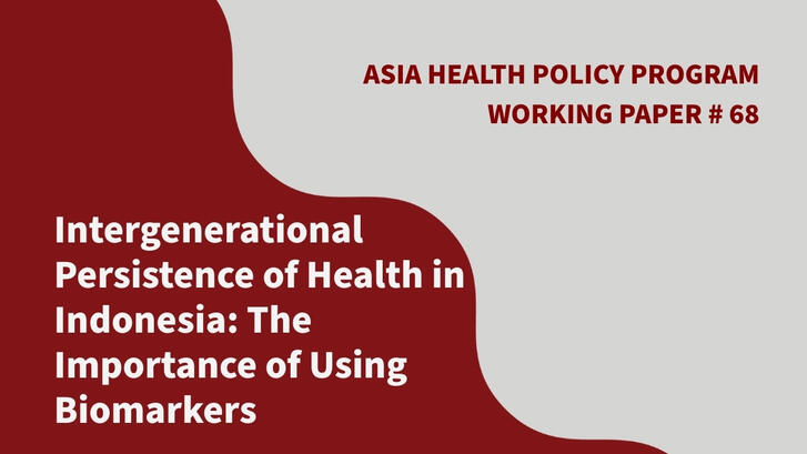 Geomeric wave shapes on a card for the Asia Health Policy Program Working Paper "Intergenerational Persistence of Health in Indonesia: The Importance of Using Biomarkers" 
