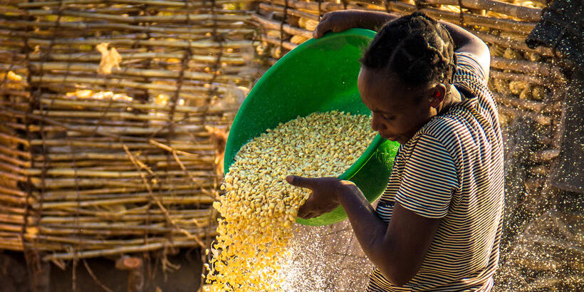 corn woman virtualwayfarer hl