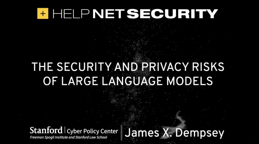The security and privacy risks of large language models | FSI