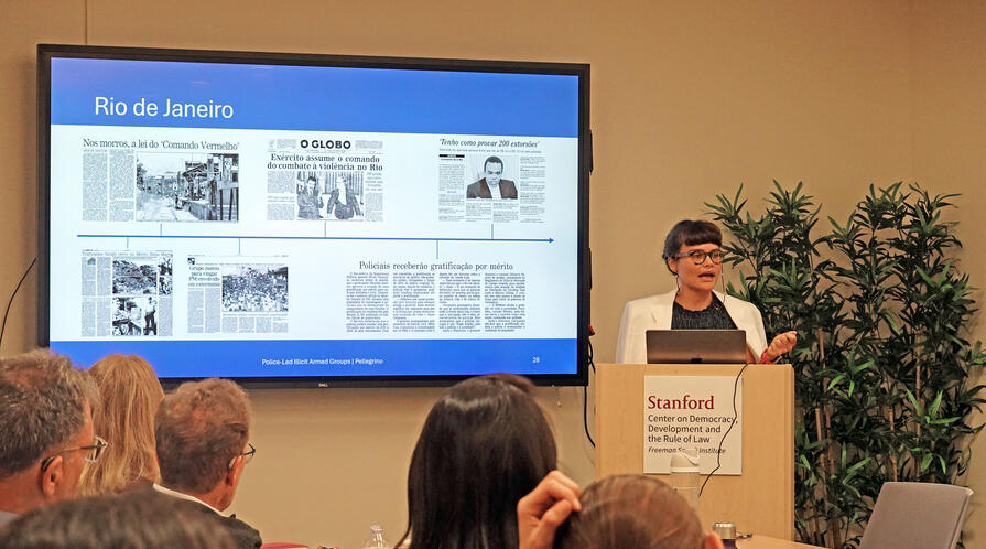 Anna Paula Pellegrino presented her research in a CDDRL seminar on November 20, 2025.