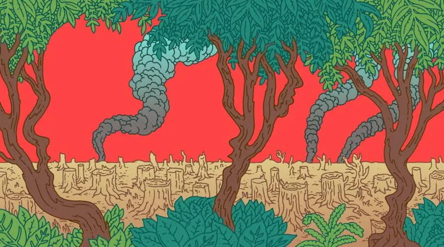 Illustration of charcoal kilns in Brazil 