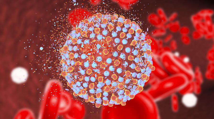 An illustration of Hepatitis C