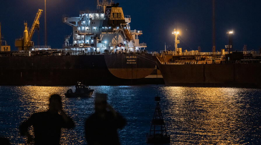 The Albina Bulk carrier sits anchored on March 22, 2026, at Sultan Qaboos Port in Muscat, Oman.