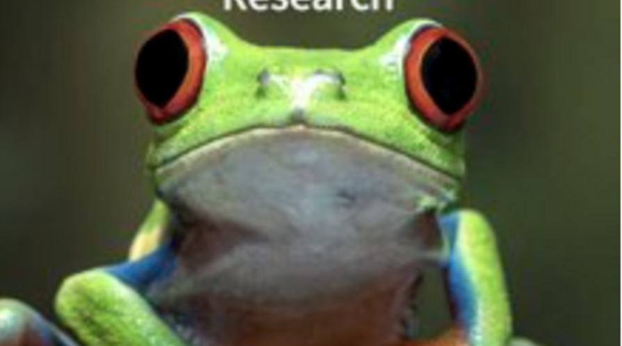 Year in Review cover photo of frog
