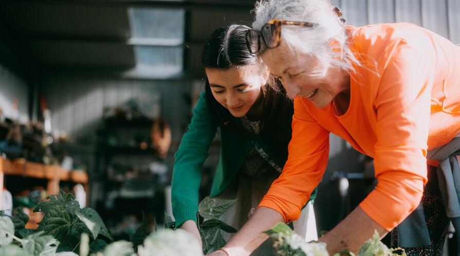 A grandmother gardens with her granddaughter