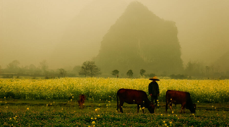 china rural countryside photo