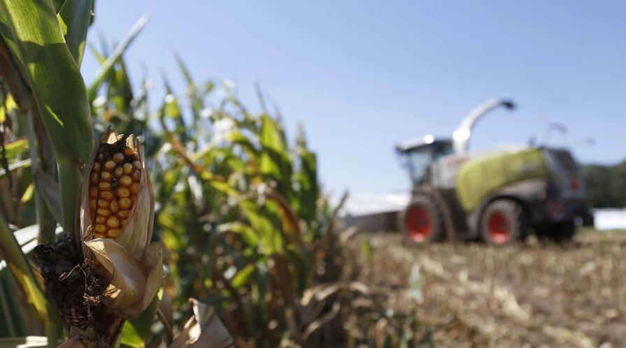 cornyield headliner2