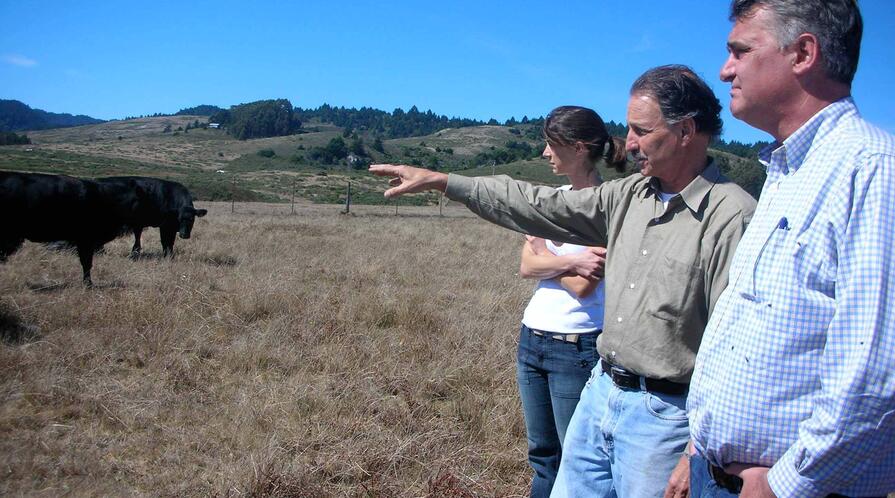 nimanranch henning scenery