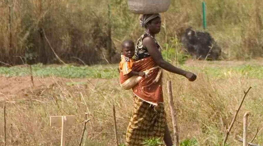 woman field logo lowres