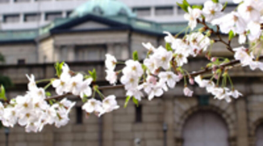 CentralBank NEWSFEED