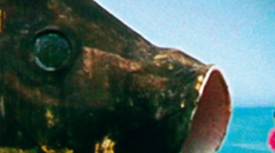 Act of Killing LOGO copy